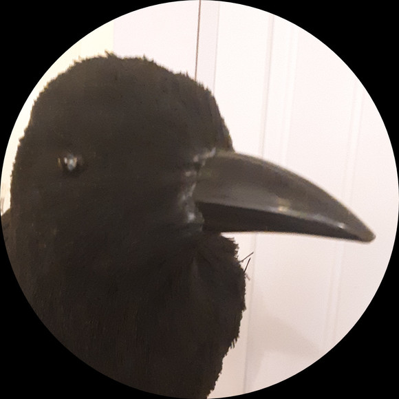 corvustreasures